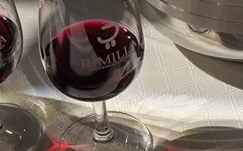 Vinos de Jumilla